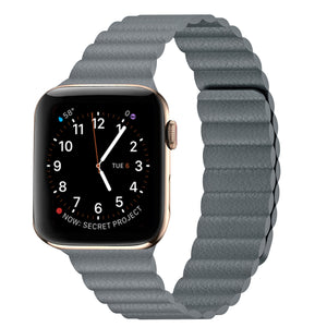 Magnetic Clasp for Apple Watch Band - Fossil